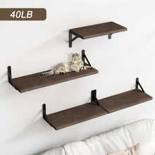 Load image into Gallery viewer, Floating Shelves, Set of 4, Walnut Brown, Multifunctional Wall-Mounted Shelves for Living Room