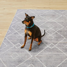 Load image into Gallery viewer, Better Homes & Gardens Diamond Machine Washable Area Rug, Gray, 5'x7' Nature4uhome