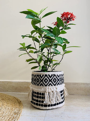 Nature4u Boho Hand Woven Plant Basket Modern Woven Basket for Planters, Storage Organizer Basket 9” x 9