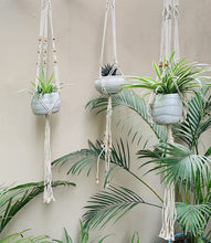 Load image into Gallery viewer, NATURE4U Pack of 3 Macrame Plant Hangers Handmade Cotton Rope Hanging Planters Nature4uhome
